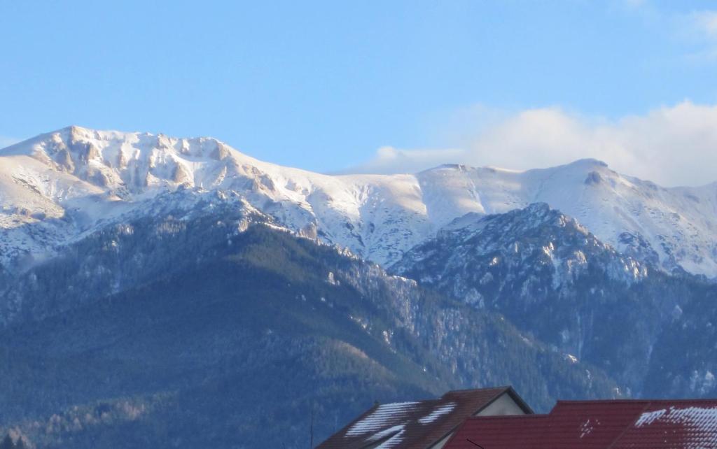 Pensiunea Ando Bran  Exterior photo