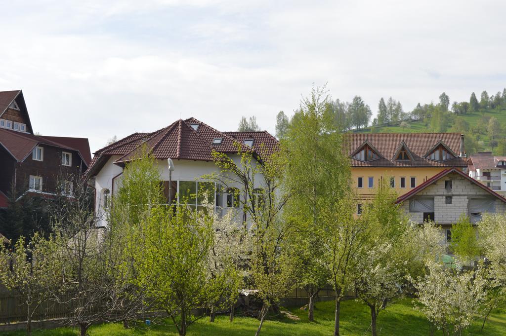 Pensiunea Ando Bran  Exterior photo